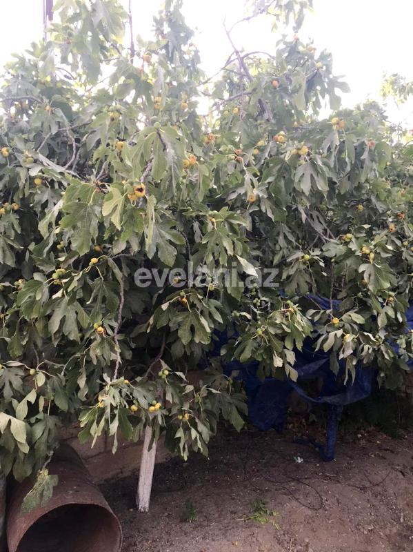 Satılır, həyət evi / bağ, 3 otaqlı, 100 m², Bakı, Xəzər r.