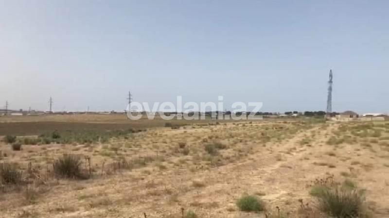 Satılır, torpaq, 605 sot, Bakı, Sabunçu r.