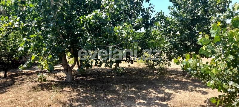 Sale, land, 12 ar, Baku, Khazar r.