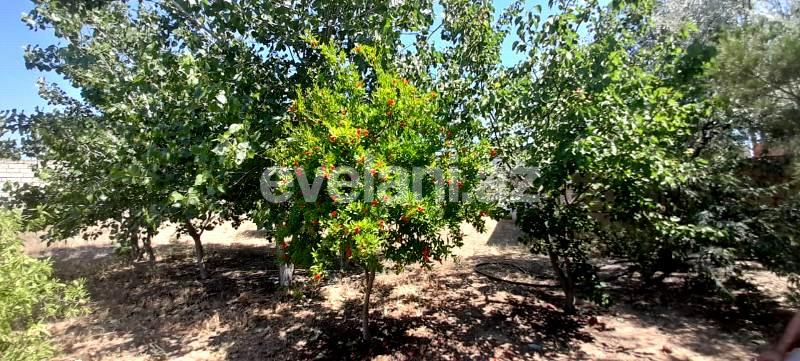 Sale, land, 12 ar, Baku, Khazar r.