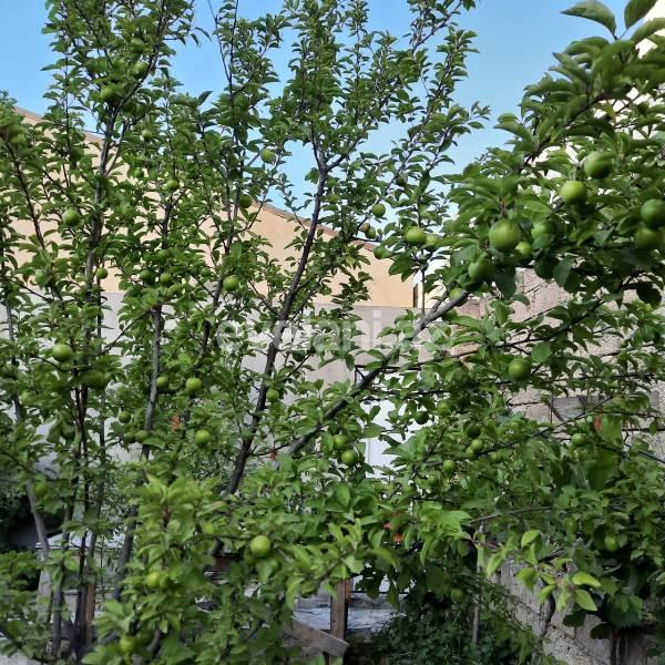 Sale, villa, 4 room, 120 m², Baku, Khazar r.