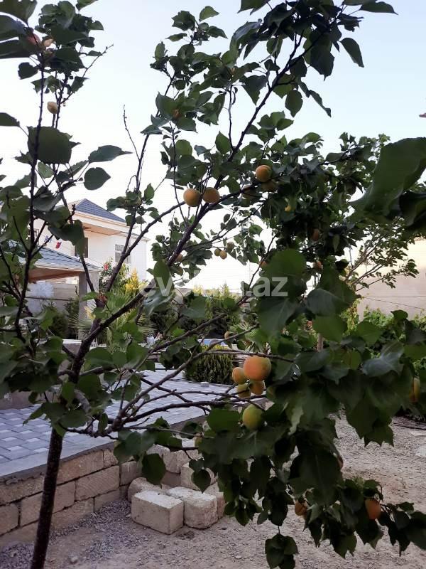 Sale, villa, 4 room, 120 m², Baku, Khazar r.