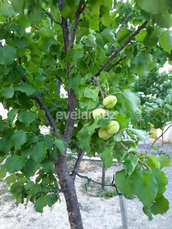 Sale, villa, 4 room, 120 m², Baku, Khazar r.