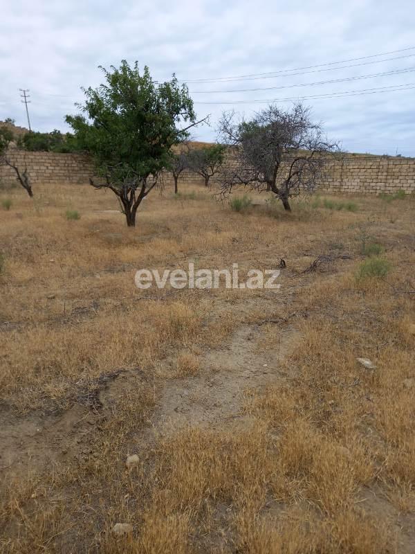 Satılır, torpaq, 9 sot, Bakı, Abşeron r.