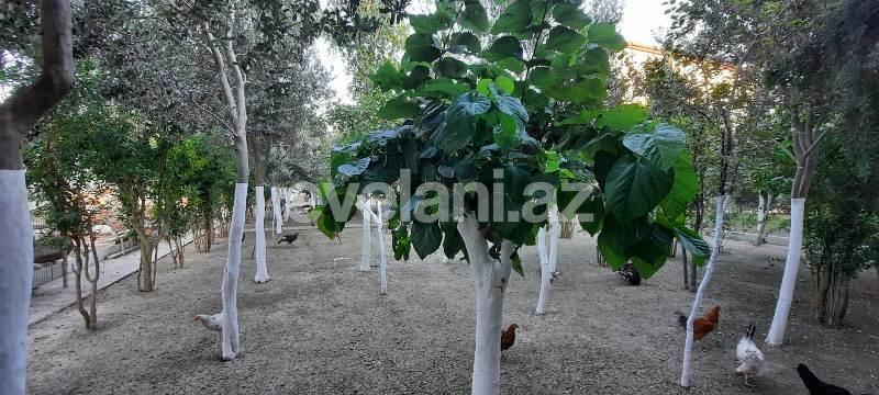 Sale, villa, 6 room, 550 m², Baku, Khazar r.