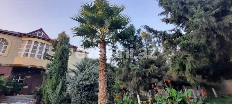 Sale, villa, 6 room, 550 m², Baku, Khazar r.