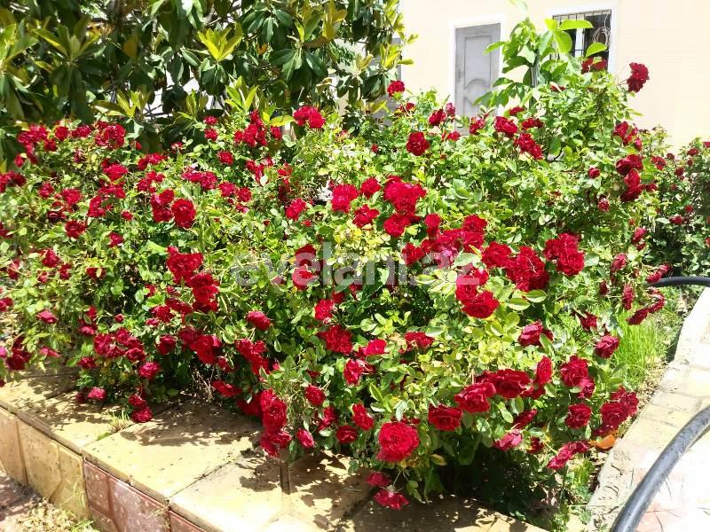 Sale, villa, 4 room, 150 m², Baku, Absheron r, Geokmaly d.