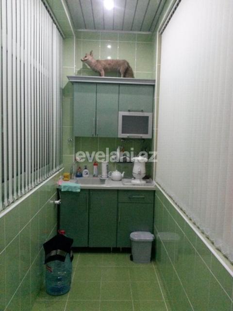 Rent, office, 7 room, 220 m², Baku, Nasimi r, Ganjlik m.