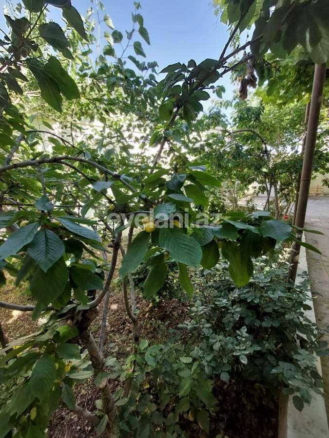 Satılır, həyət evi / bağ, 3 otaqlı, 100 m², Bakı, Səbail r.