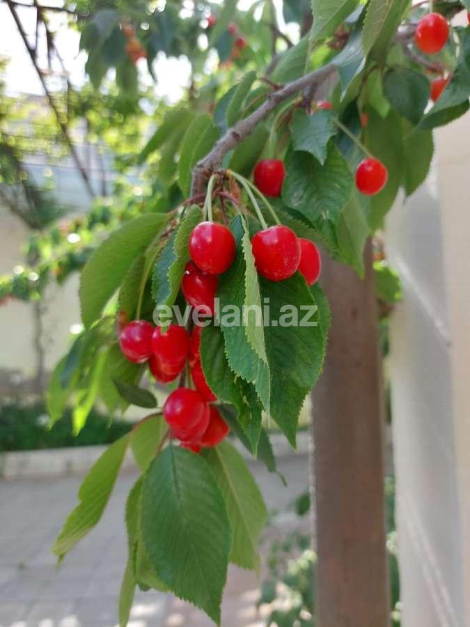 Satılır, həyət evi / bağ, 3 otaqlı, 100 m², Bakı, Səbail r.