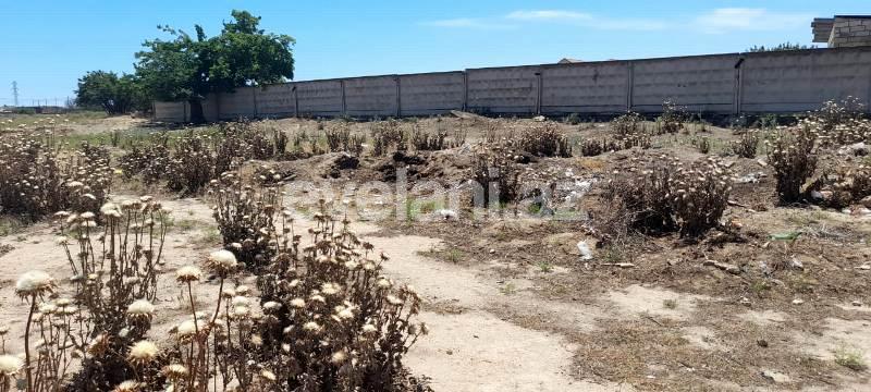 Satılır, torpaq, 12 sot, Bakı, Xəzər r.