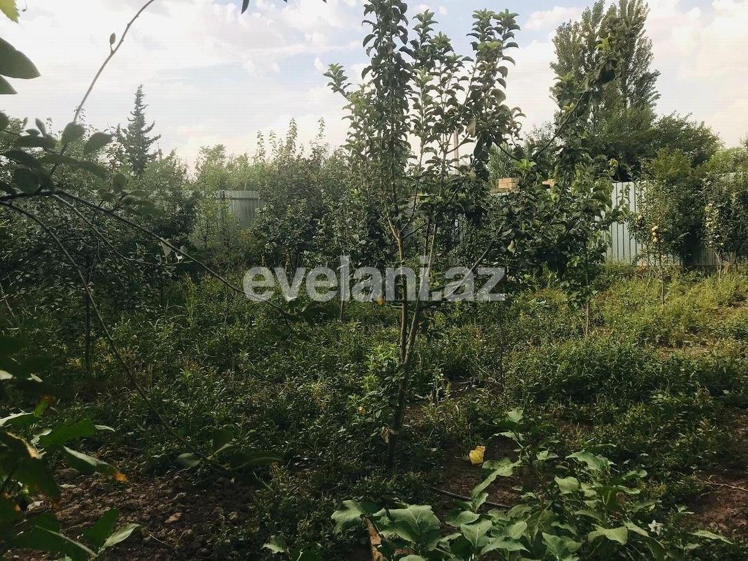 Satılır, həyət evi / bağ, 4 otaqlı, 120 m², Saatlı