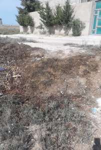 Satılır, torpaq, 5 sot, Bakı, Pirallahı r, Pirallahı q, Koroğlu m.