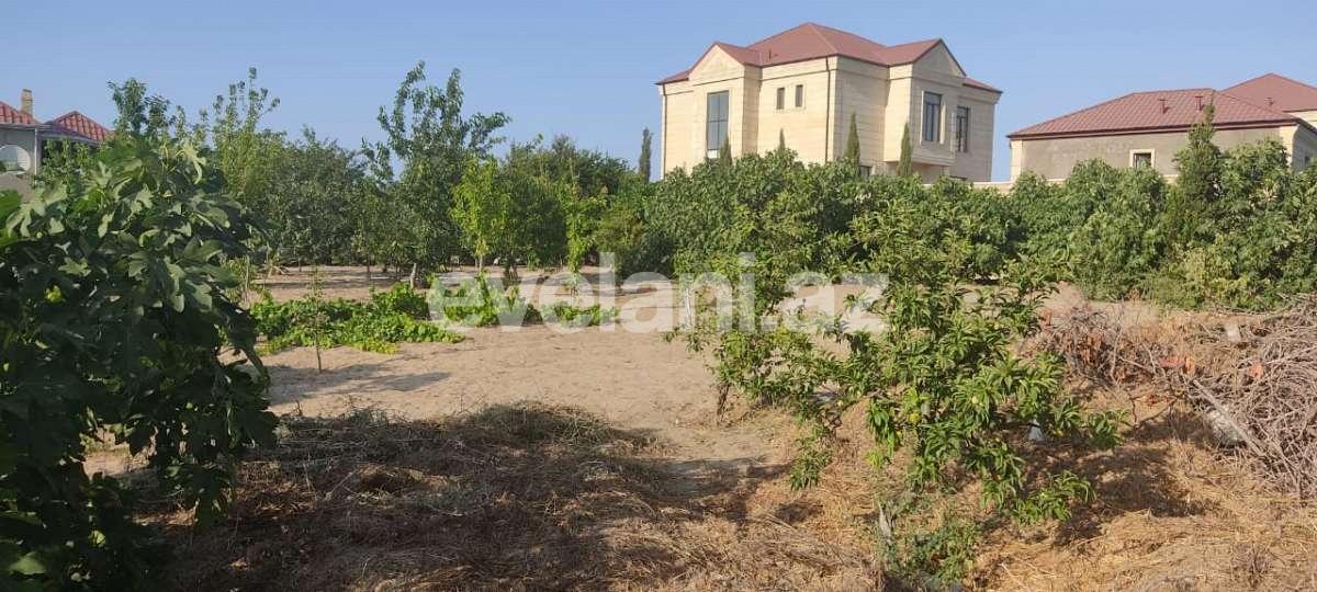 Satılır, torpaq, 10 sot, Bakı, Abşeron r, Novxanı q.