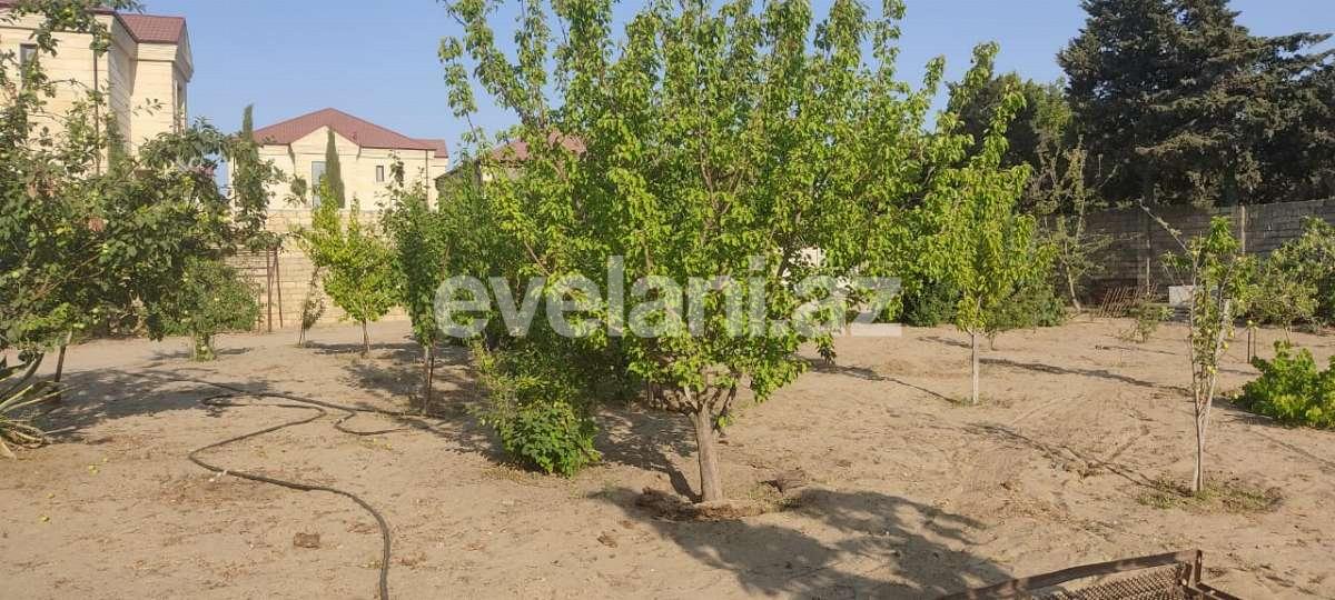 Satılır, torpaq, 10 sot, Bakı, Abşeron r, Novxanı q.