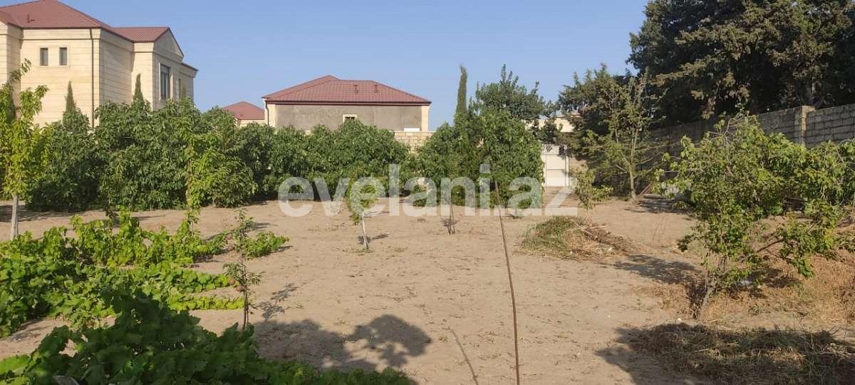 Satılır, torpaq, 10 sot, Bakı, Abşeron r, Novxanı q.