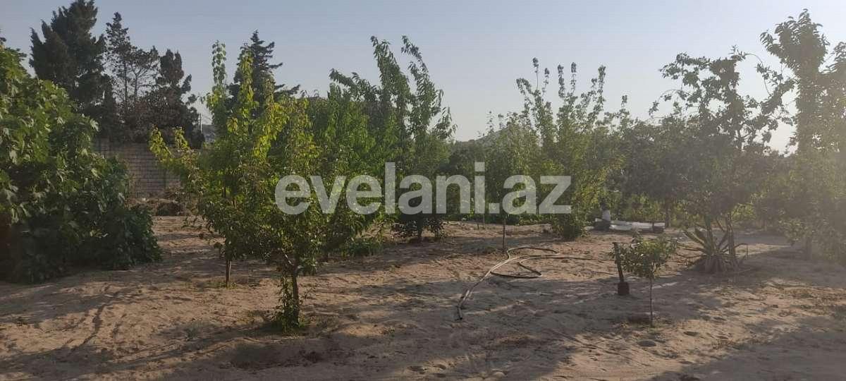 Satılır, torpaq, 10 sot, Bakı, Abşeron r, Novxanı q.