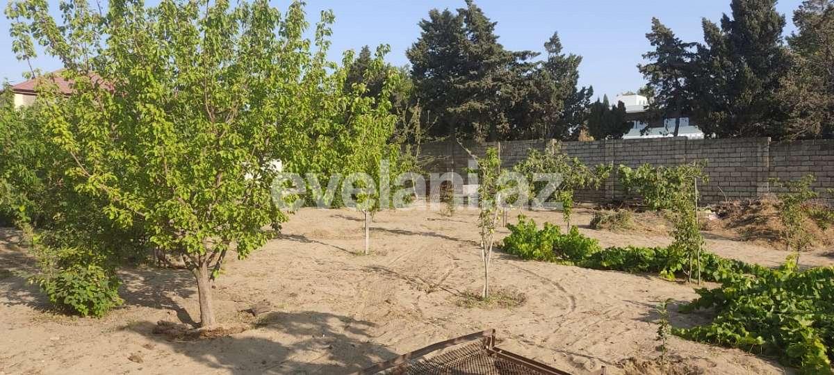 Satılır, torpaq, 10 sot, Bakı, Abşeron r, Novxanı q.