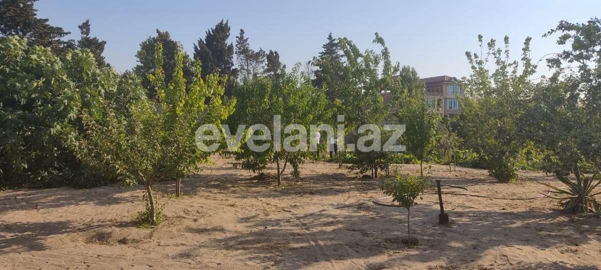Satılır, torpaq, 10 sot, Bakı, Abşeron r, Novxanı q.