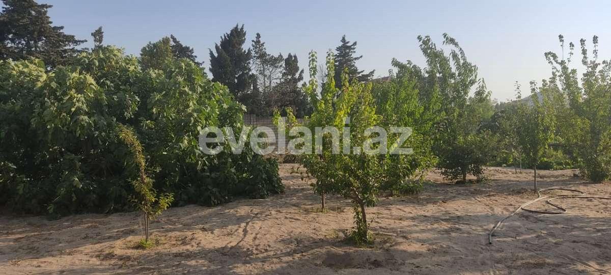 Satılır, torpaq, 10 sot, Bakı, Abşeron r, Novxanı q.