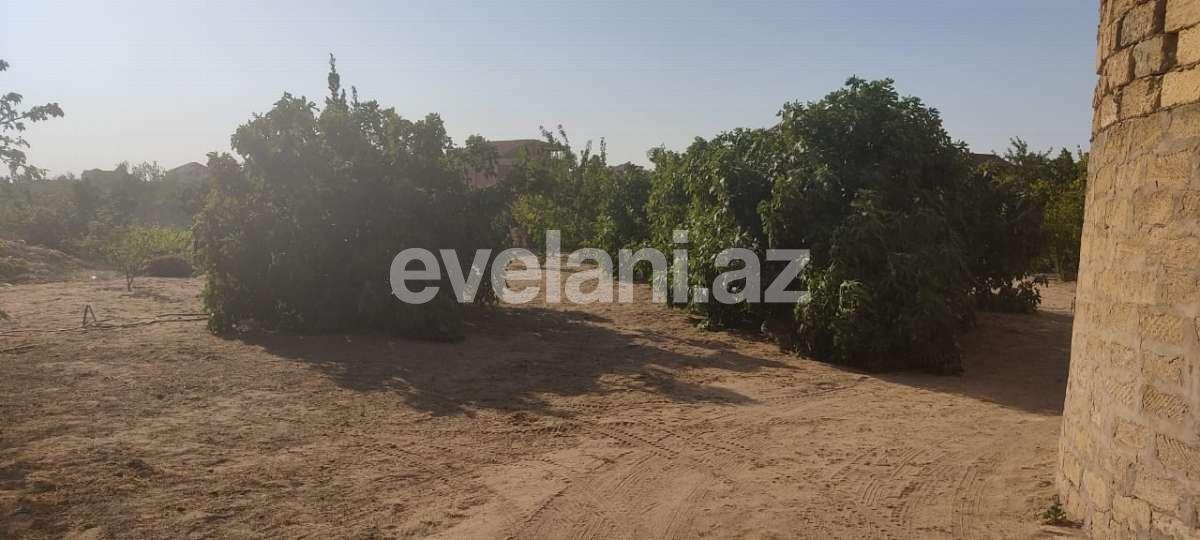 Satılır, torpaq, 10 sot, Bakı, Abşeron r, Novxanı q.