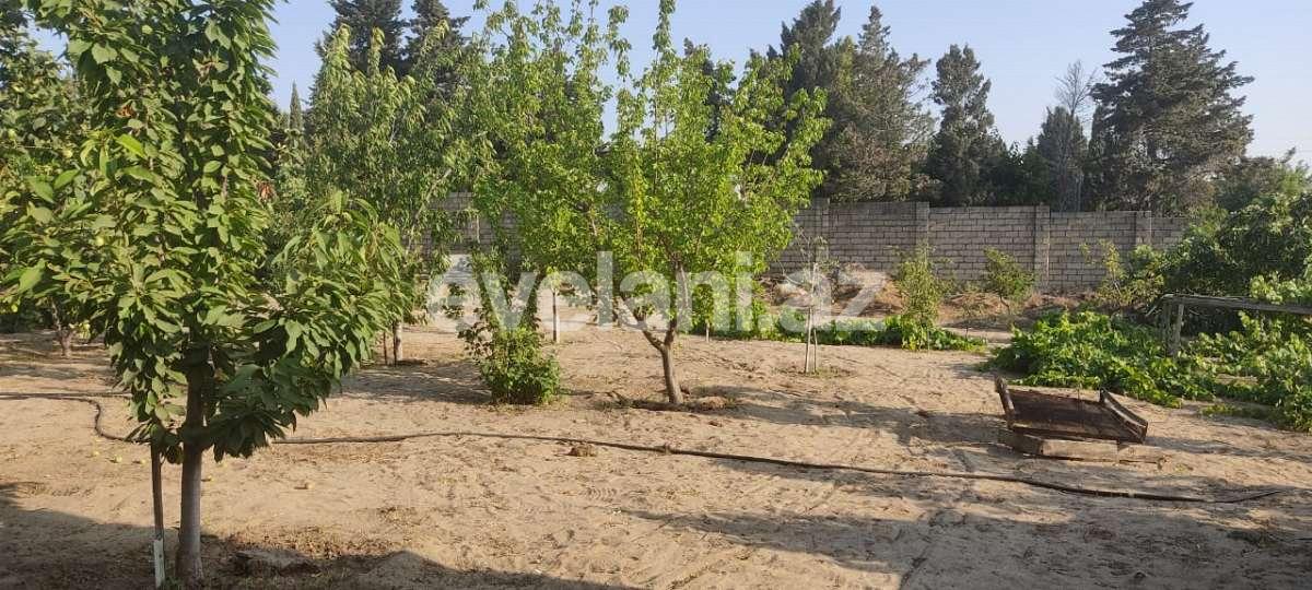 Satılır, torpaq, 10 sot, Bakı, Abşeron r, Novxanı q.