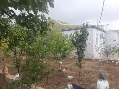 Satılır, həyət evi / bağ, 5 otaqlı, 100 m², Bakı, Sabunçu r, Savalan q, Koroğlu m.