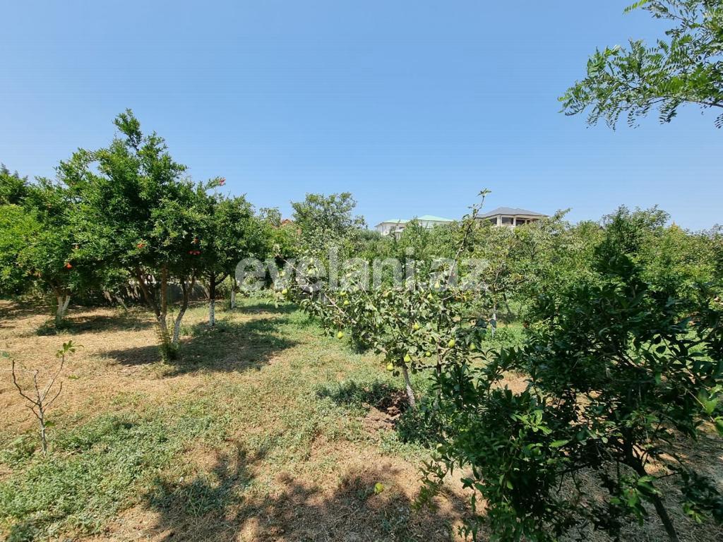 Kirayə verilir, villa, 6 otaqlı, 500 m², Bakı, Səbail r, Badamdar q.