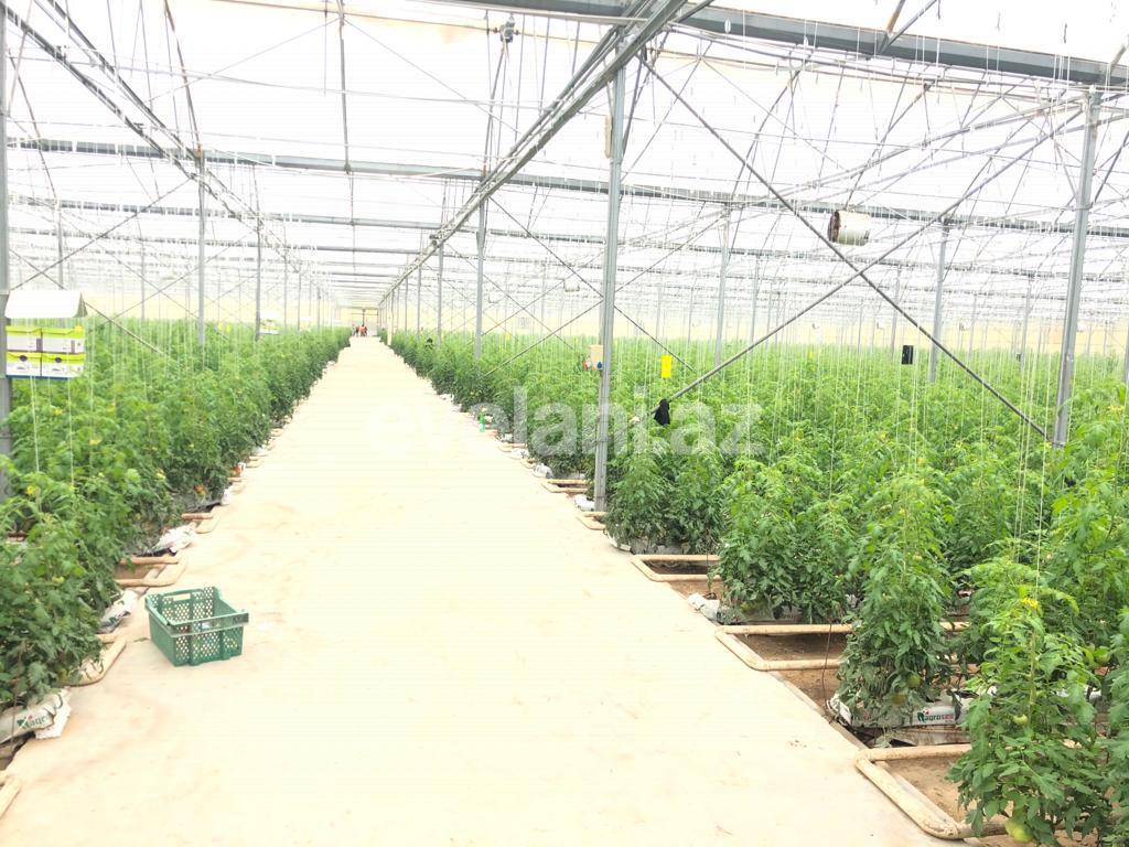 Satılır, torpaq, 1000 sot, Bakı, Xəzər r, Zirə q, Koroğlu m.