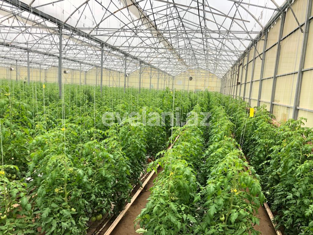 Satılır, torpaq, 1000 sot, Bakı, Xəzər r, Zirə q, Koroğlu m.