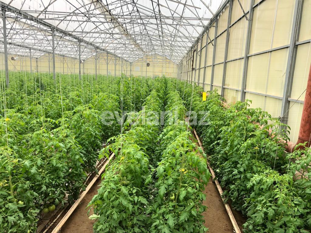 Satılır, torpaq, 1000 sot, Bakı, Xəzər r, Zirə q, Koroğlu m.