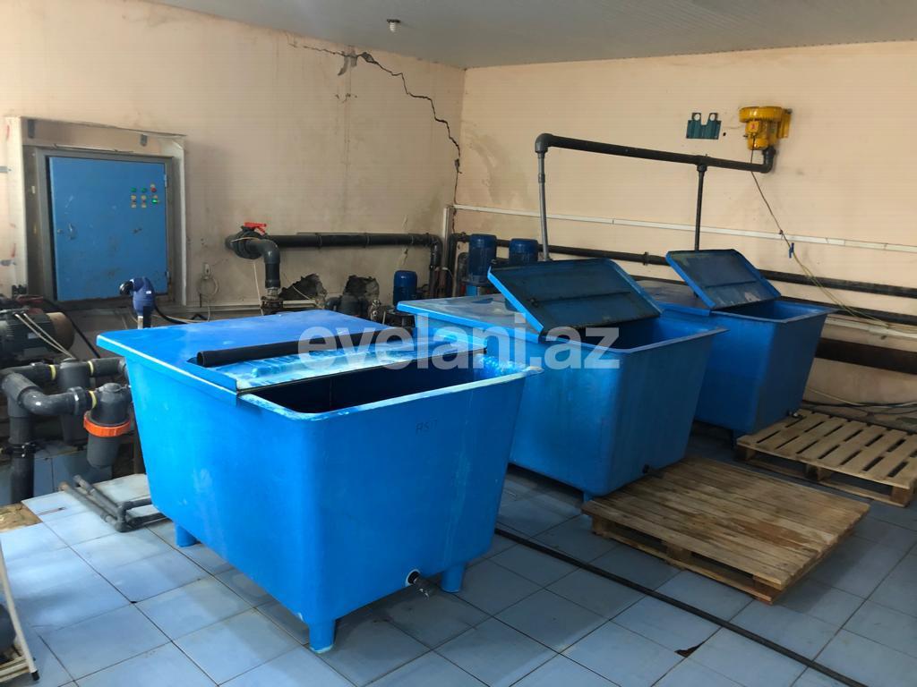 Satılır, torpaq, 1000 sot, Bakı, Xəzər r, Zirə q, Koroğlu m.