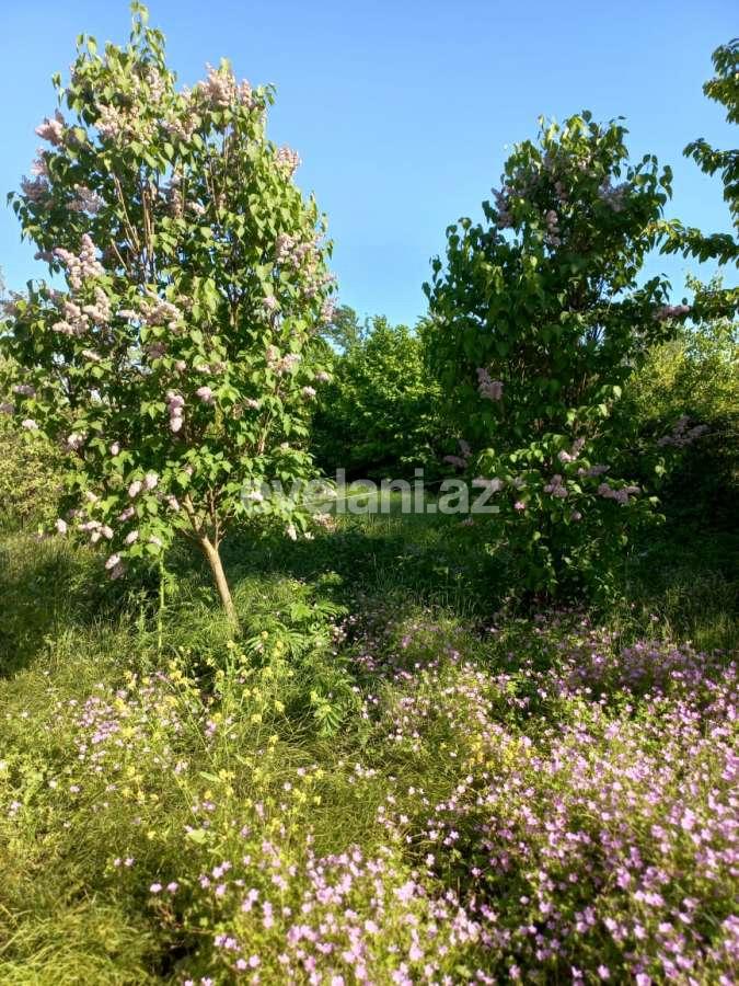 Satılır, həyət evi / bağ, 2 otaqlı, 70 m², Qusar