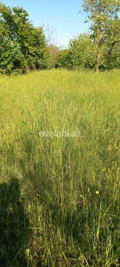 Satılır, həyət evi / bağ, 2 otaqlı, 70 m², Qusar