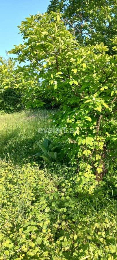 Satılır, həyət evi / bağ, 2 otaqlı, 70 m², Qusar