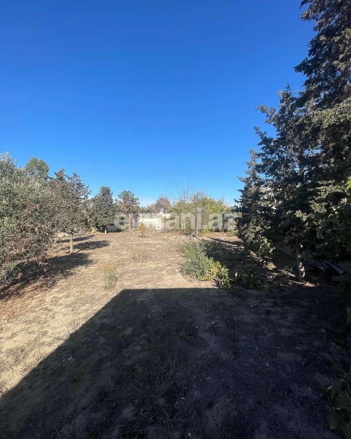 Satılır, torpaq, 20 sot, Bakı, Xəzər r, Şüvəlan q, Koroğlu m.