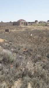 Satılır, torpaq, 5 sot, Bakı, Pirallahı r, Pirallahı q, Koroğlu m.