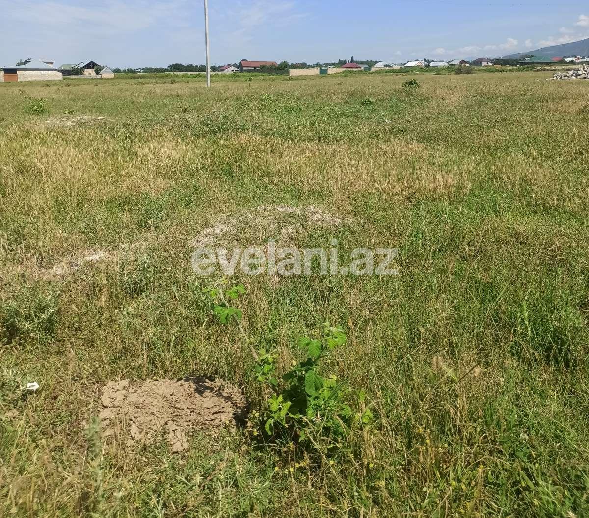 Satılır, torpaq, 6 sot, Şəki