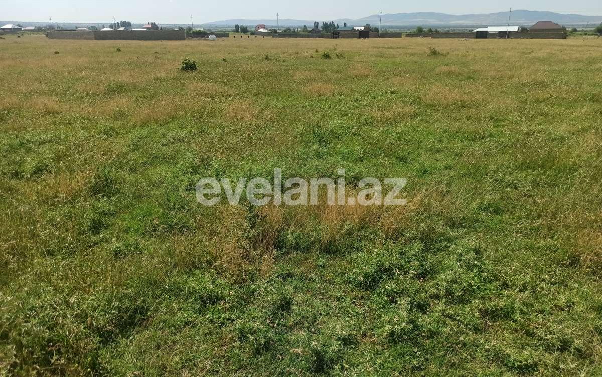 Satılır, torpaq, 6 sot, Şəki