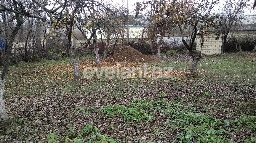 Satılır, torpaq, 15 sot, Qusar