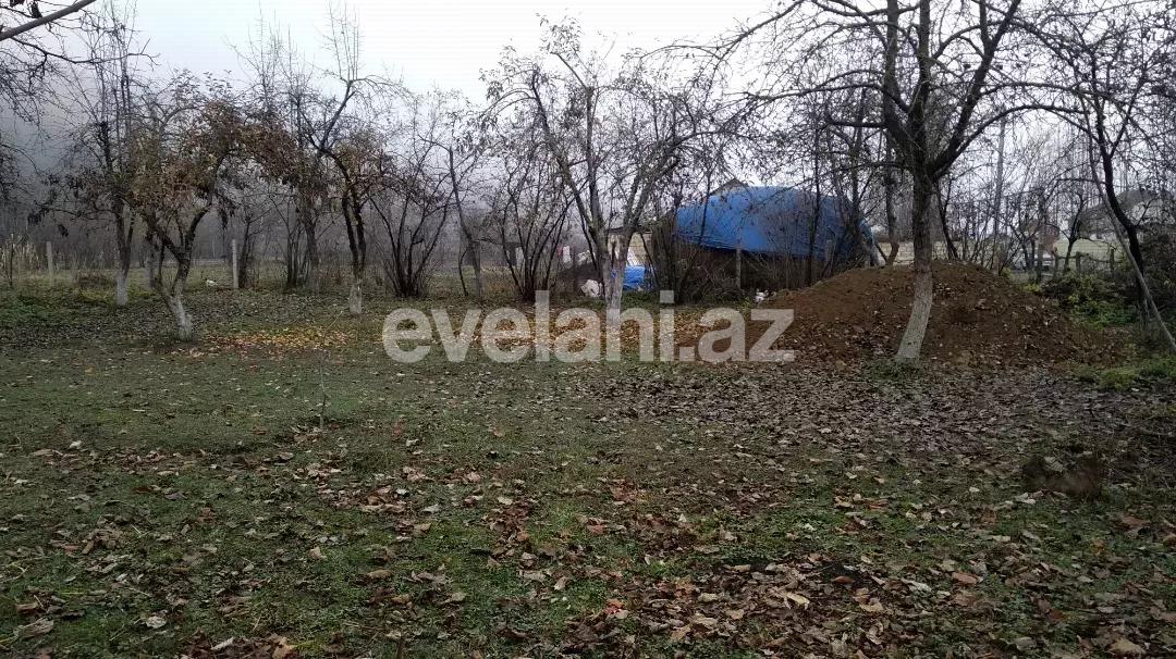 Satılır, torpaq, 15 sot, Qusar