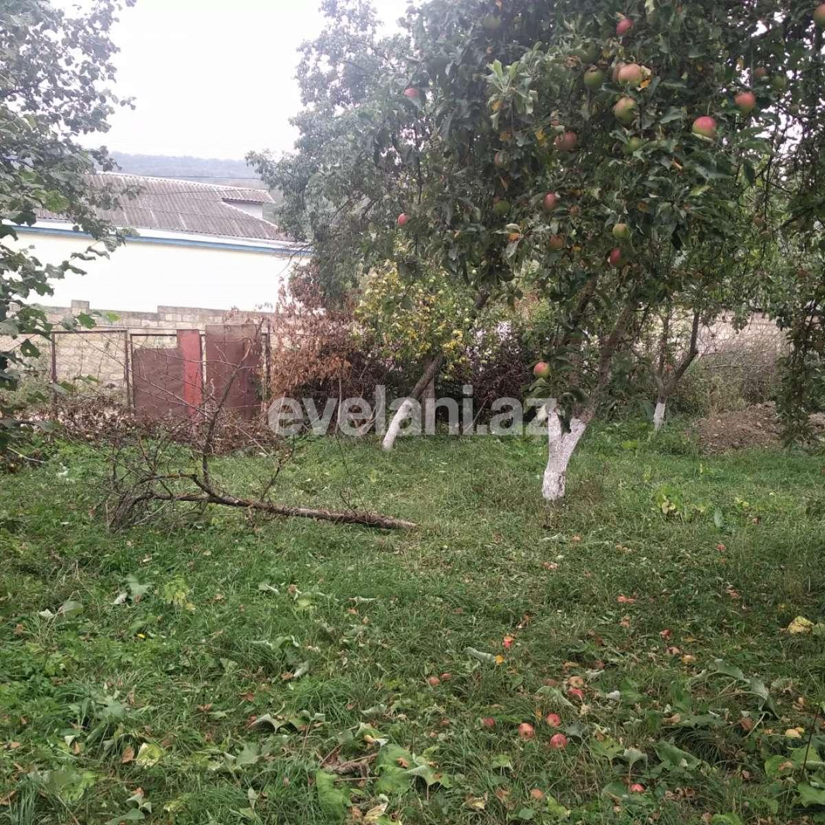 Satılır, torpaq, 15 sot, Qusar