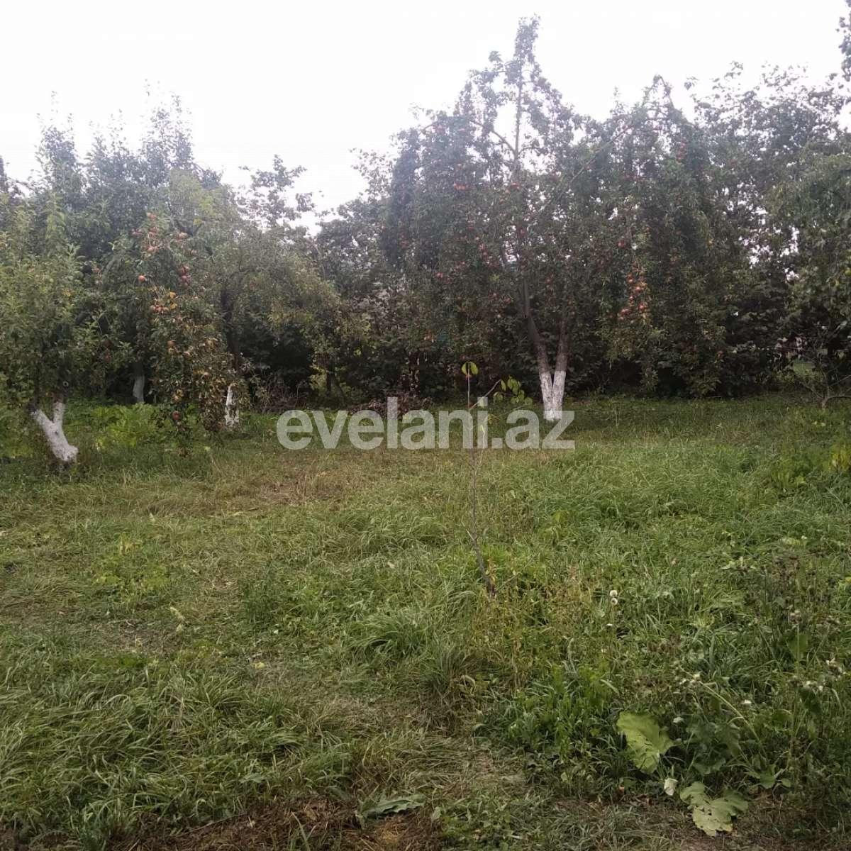 Satılır, torpaq, 15 sot, Qusar