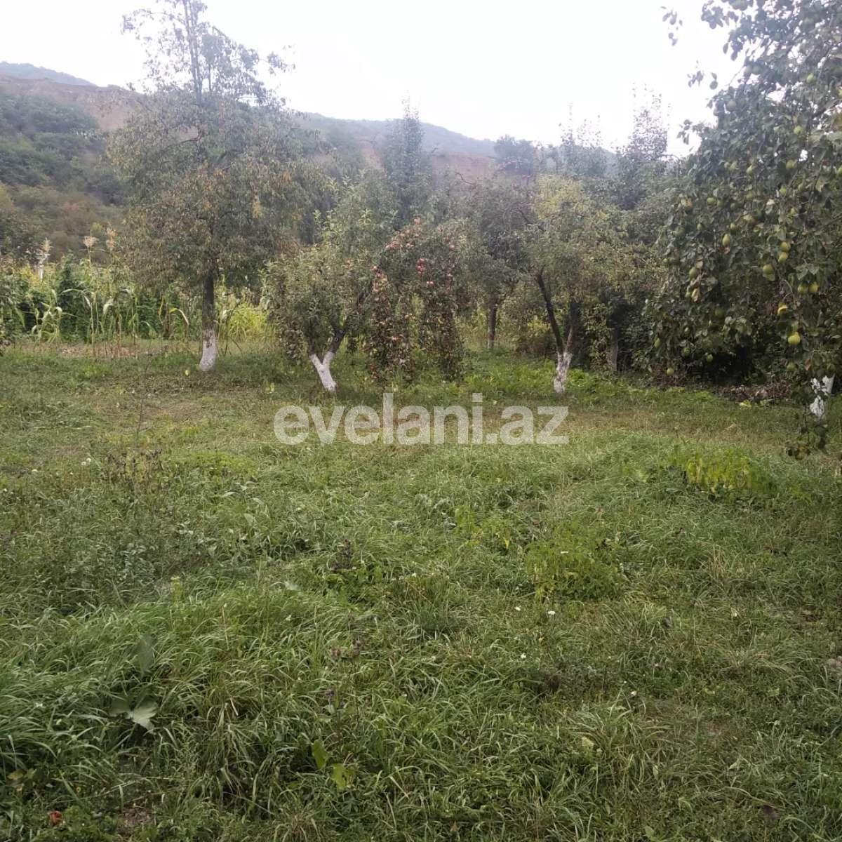 Satılır, torpaq, 15 sot, Qusar