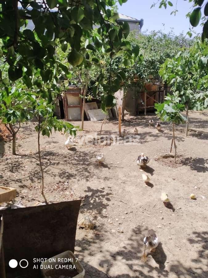 Sale, garden / house, 4 room, 110 m², Sumgayit, 49-th block r.