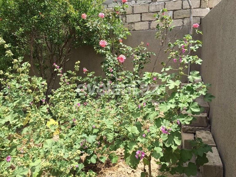 Sale, garden / house, 3 room, 120 m², Baku, Khazar r, Mardakan d.