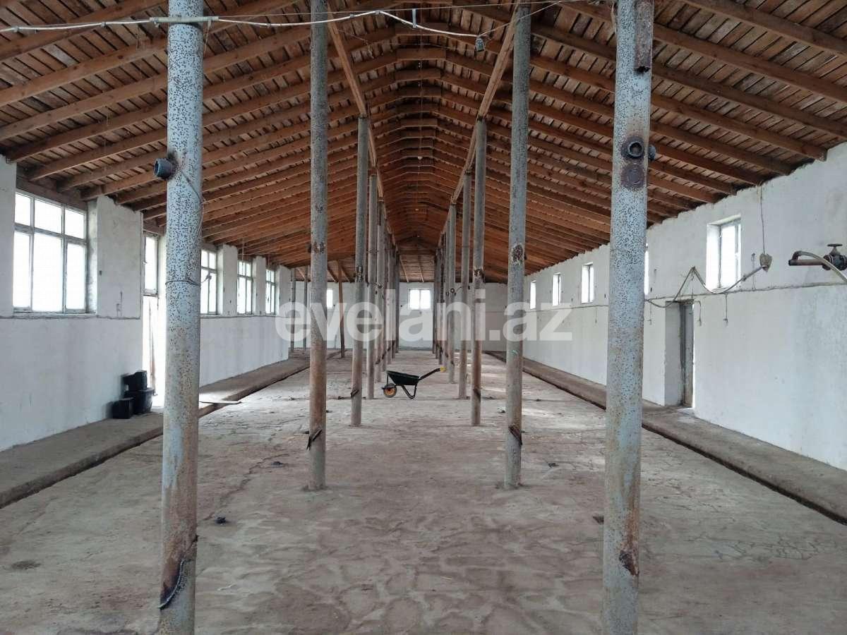 Sale, object, 2300 m², Baku, Khazar r, Turkan d.