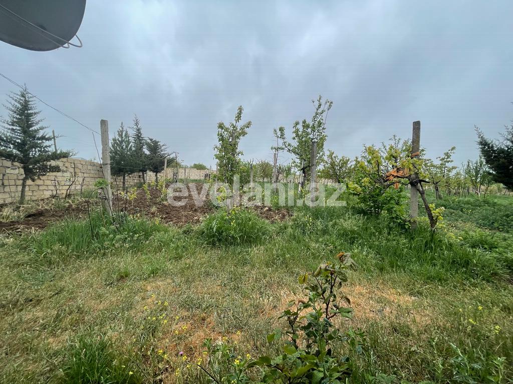 Satılır, həyət evi / bağ, 3 otaqlı, 100 m², Şamaxı