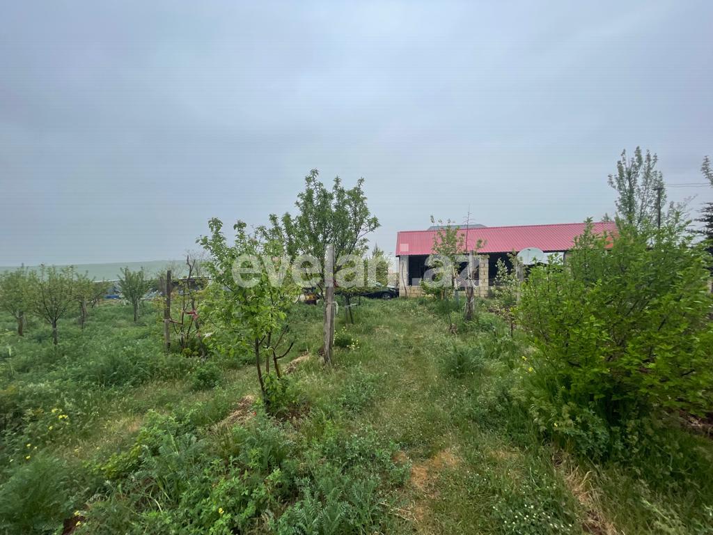 Satılır, həyət evi / bağ, 3 otaqlı, 100 m², Şamaxı