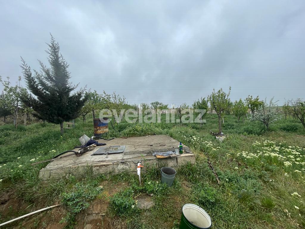 Satılır, həyət evi / bağ, 3 otaqlı, 100 m², Şamaxı